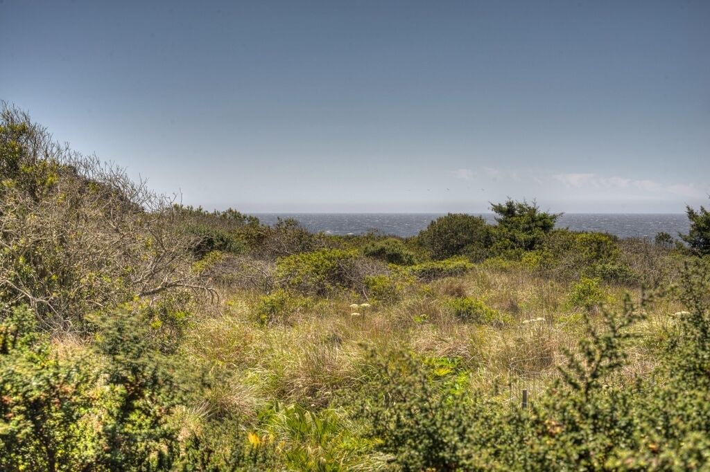 Photo of Outdoor in Sea Ranch