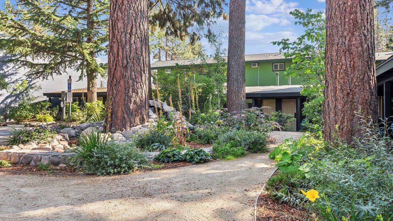 Photo of Outdoor in Lakeside Park