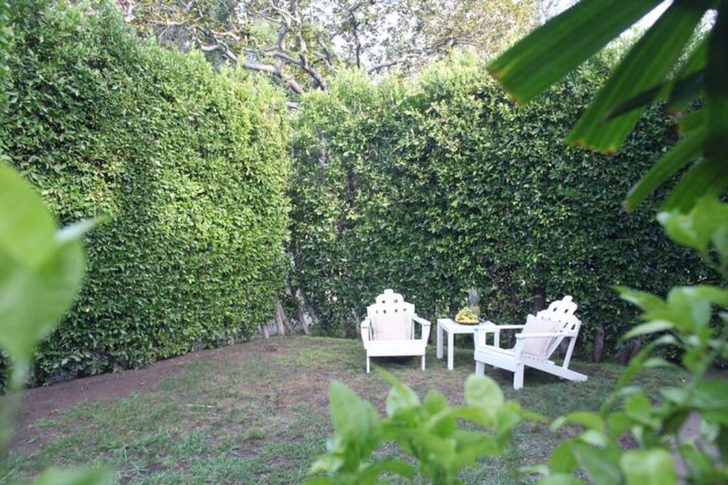Photo of Outdoor in Melrose