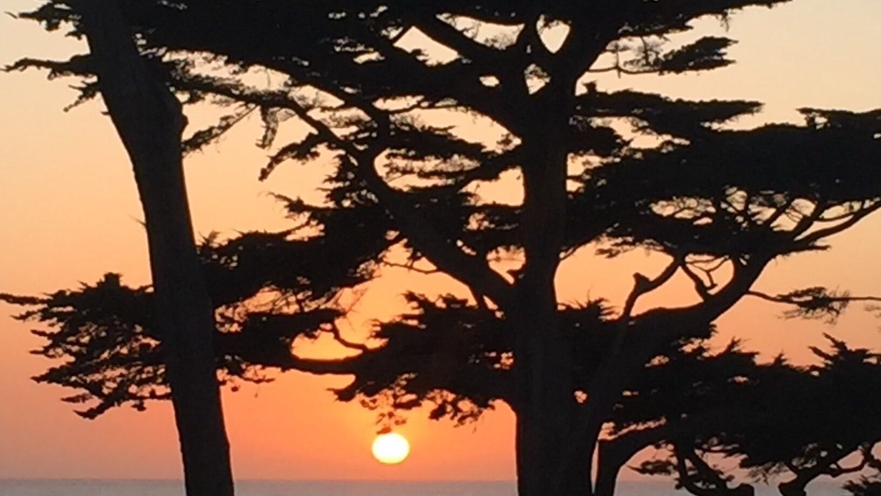 Photo of Others in San Simeon