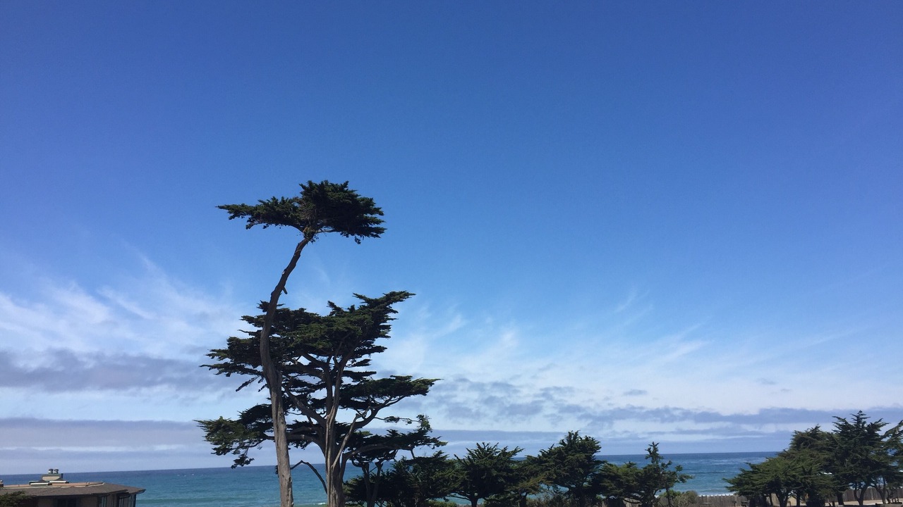 Photo of Others in San Simeon
