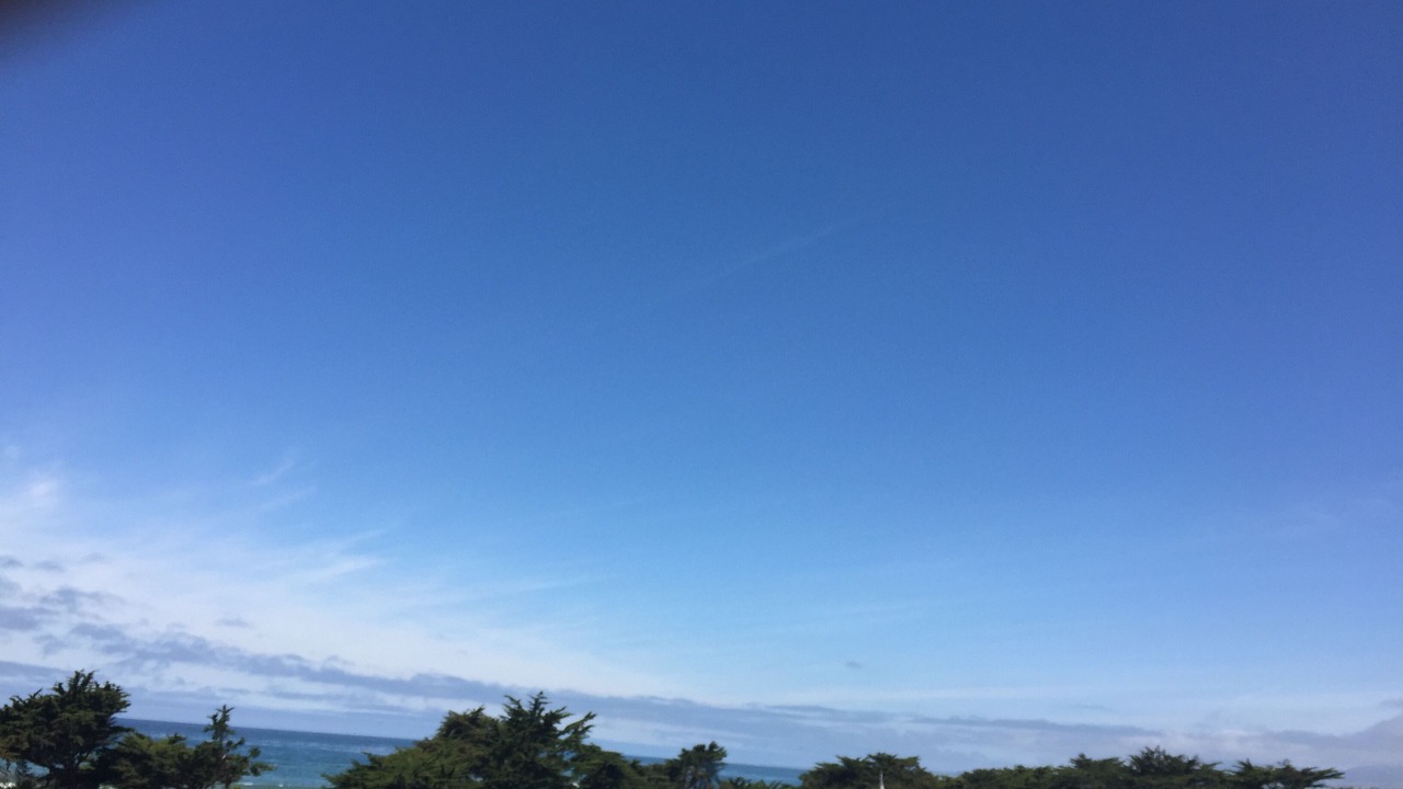 Photo of Others in San Simeon