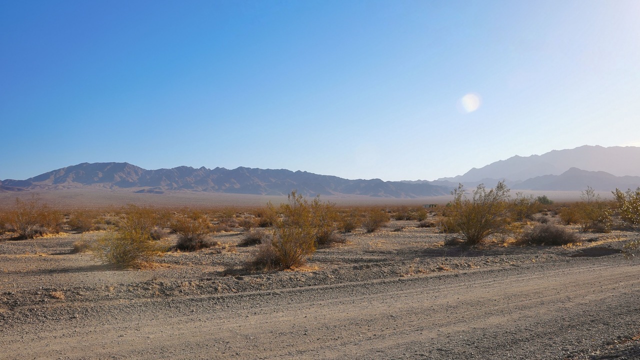 Photo of Others in Wonder Valley