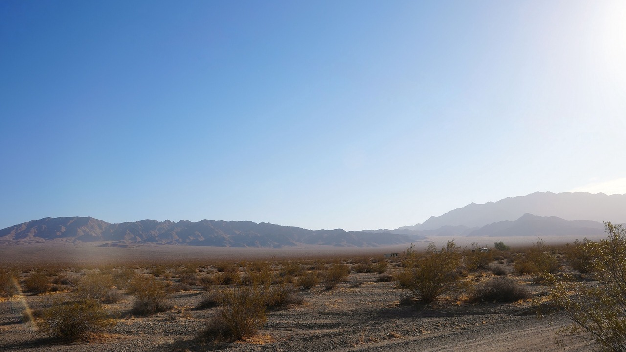 Photo of Others in Wonder Valley