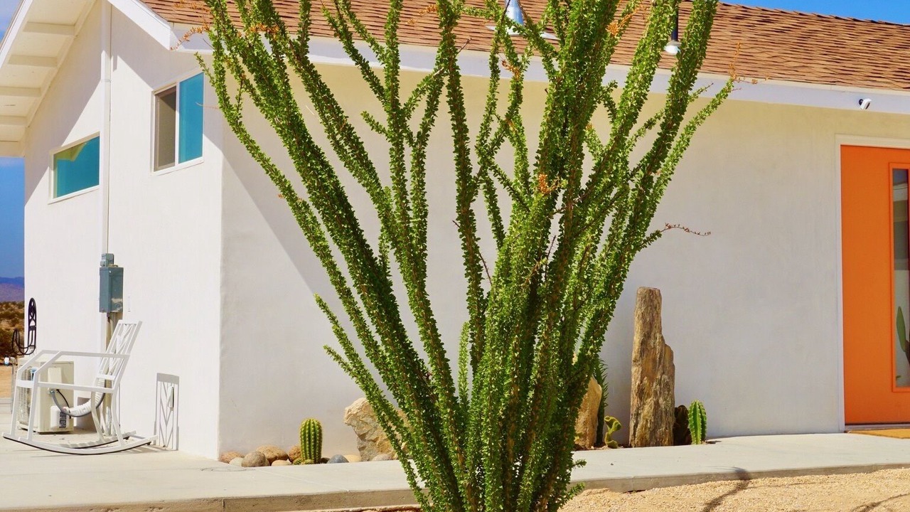 Photo of Others in Twentynine Palms