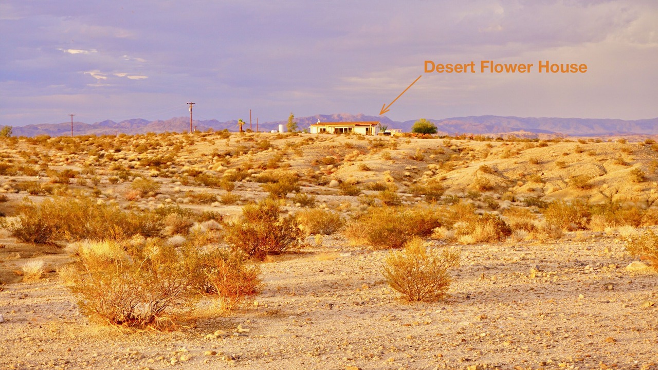 Photo of Others in Twentynine Palms