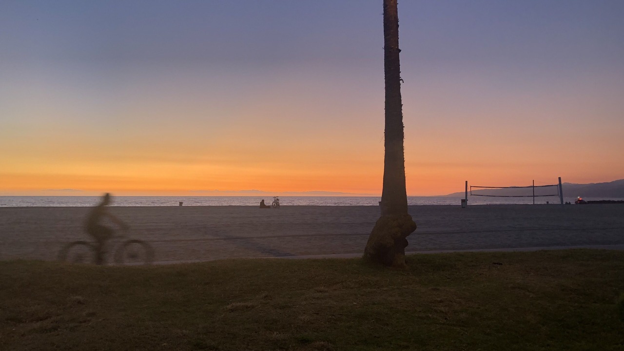 Photo of Others in Marina del Rey