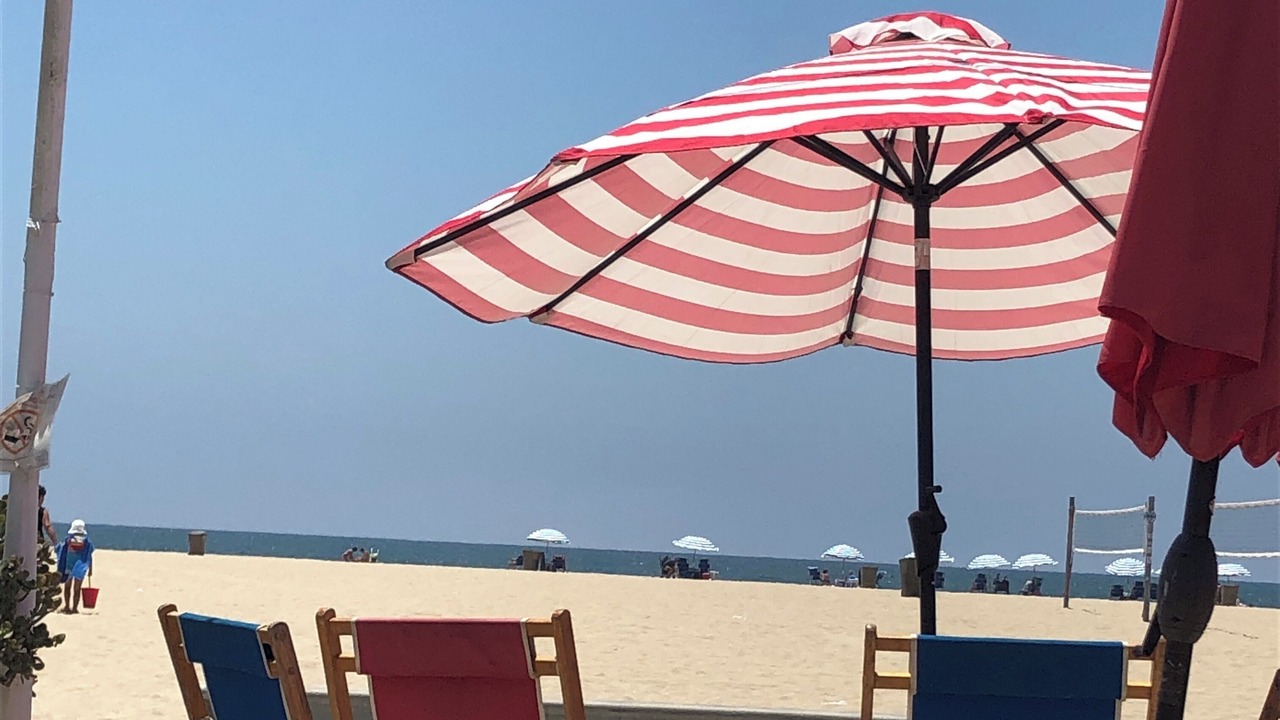 Photo of Others in Marina del Rey