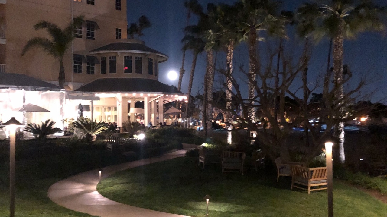 Photo of Others in Marina del Rey