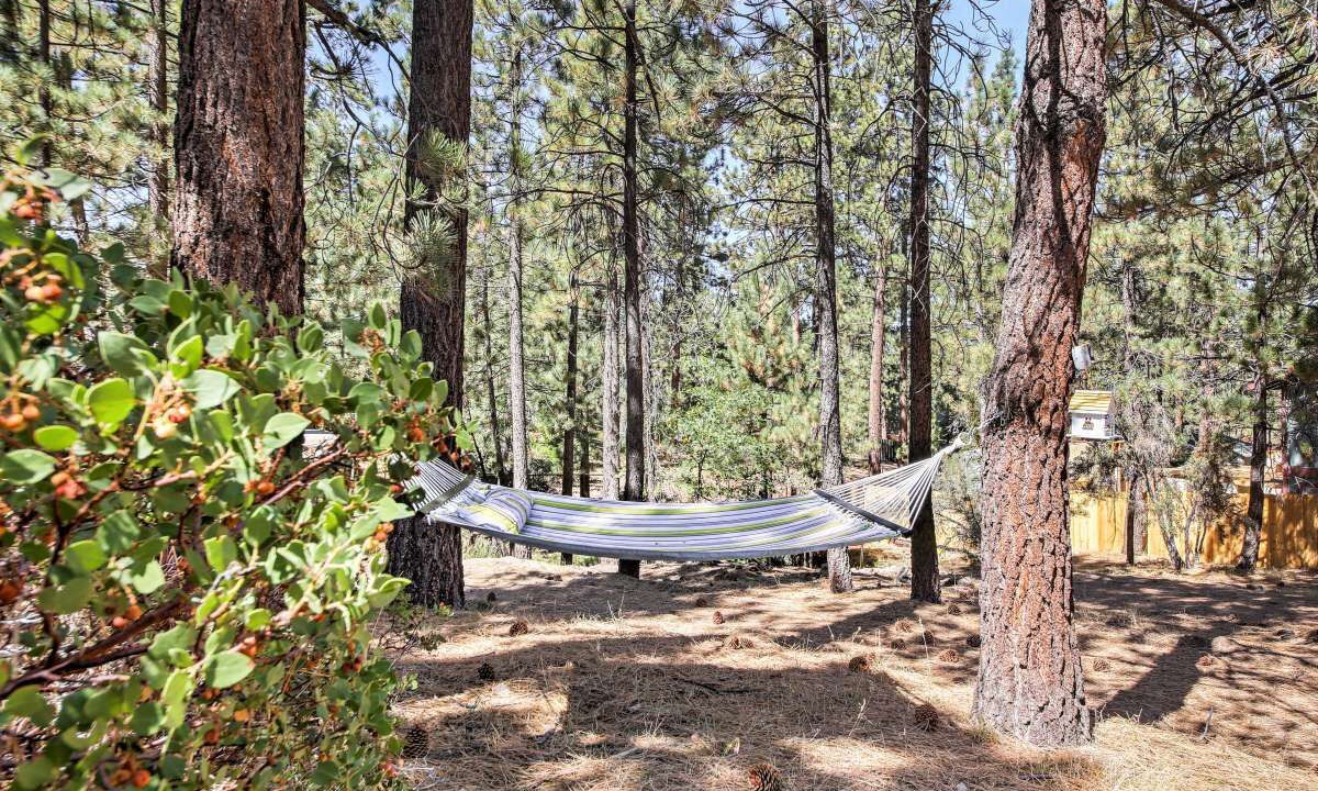 Photo of Others in Big Bear Lake