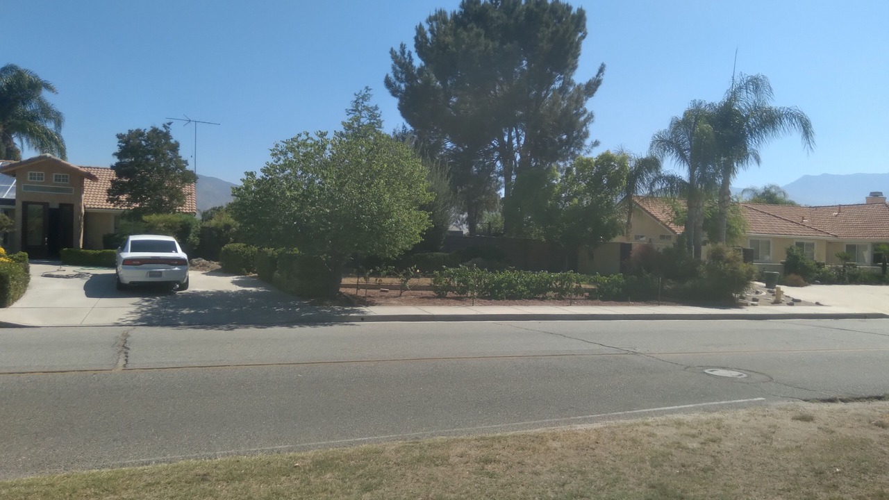 Photo of Outdoor in San Jacinto