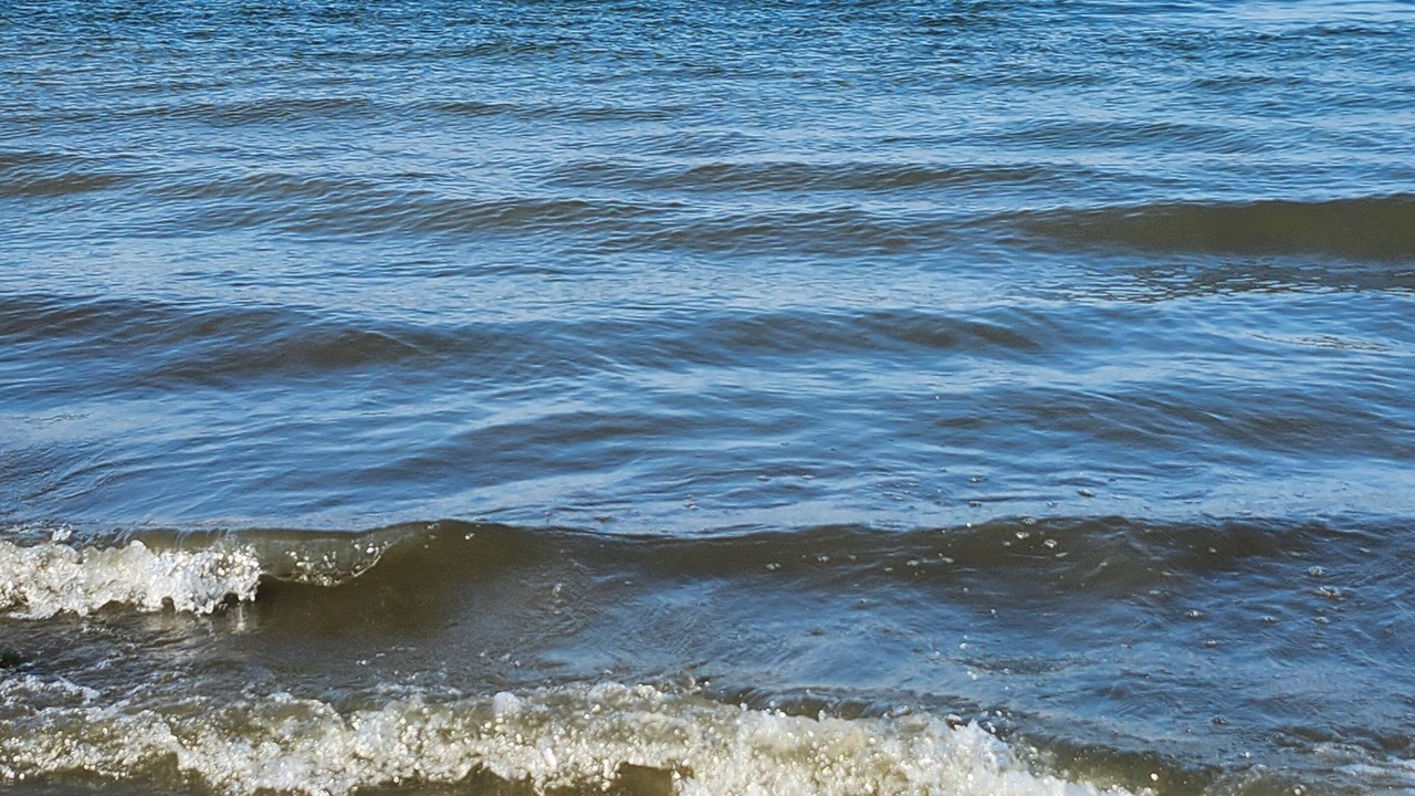 Photo of Others in Lake Elsinore