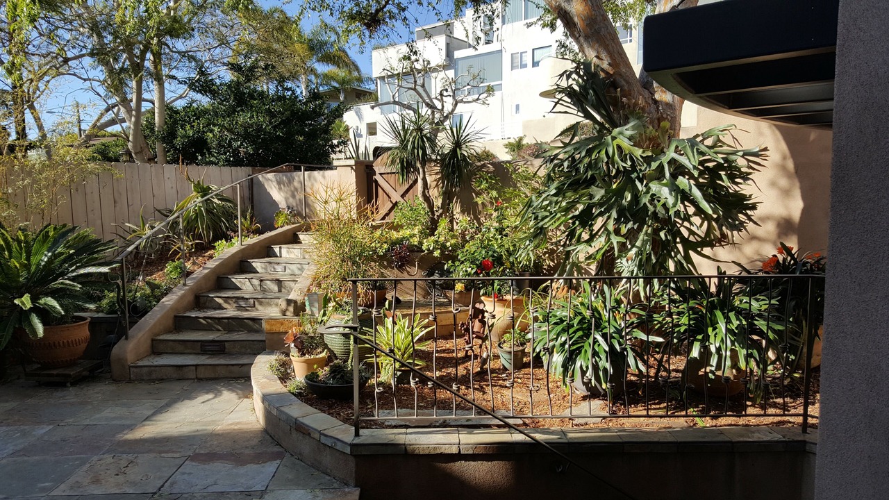 Photo of Outdoor in Del Mar Heights