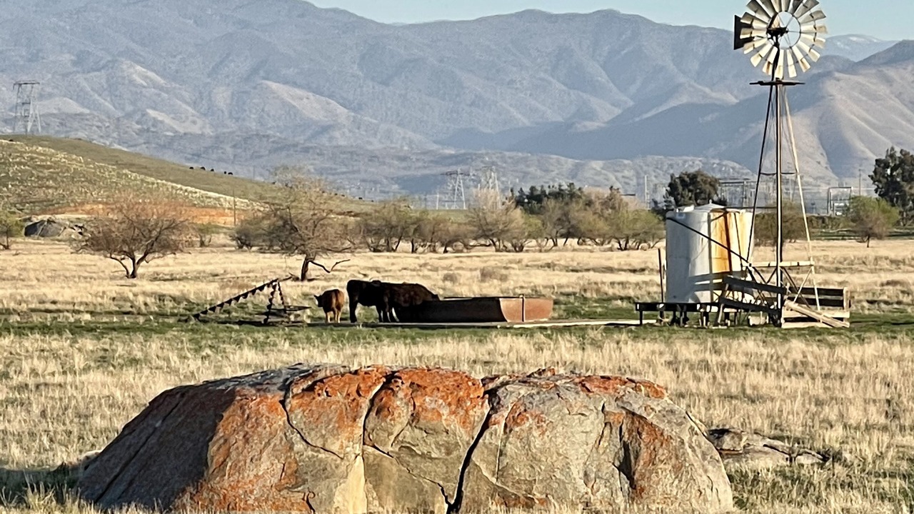 Photo of Others in Springville