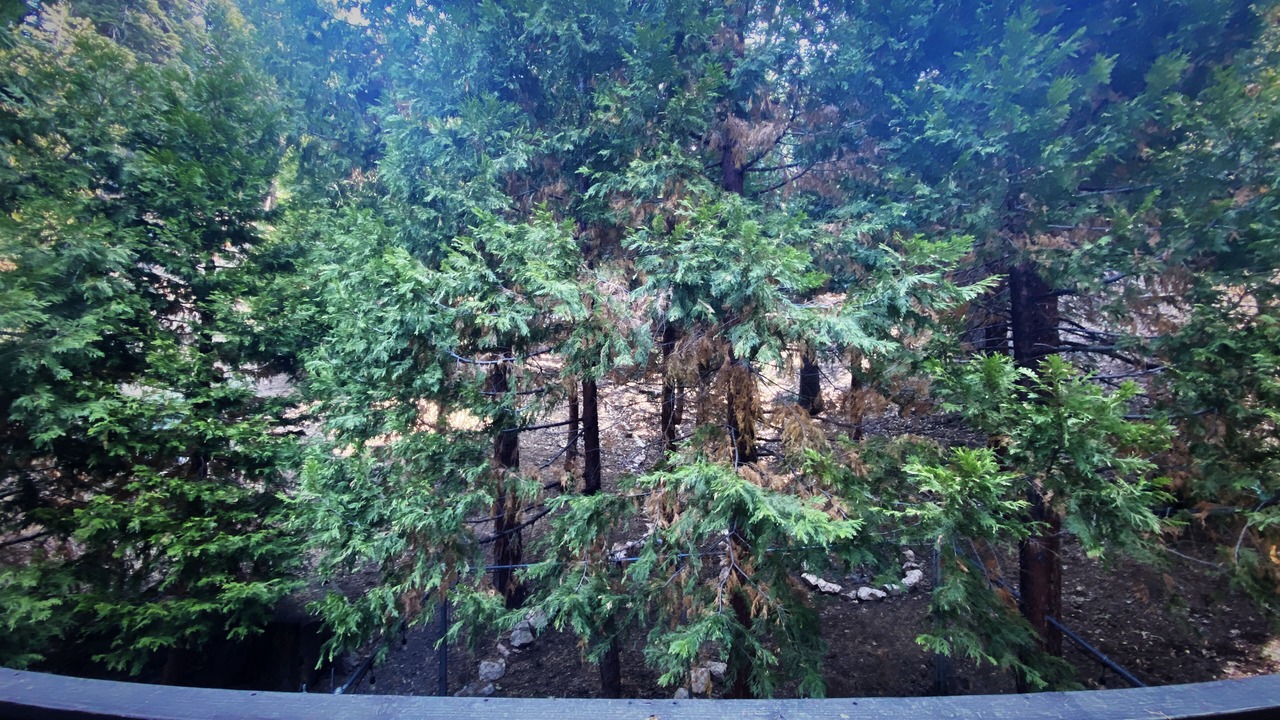 Photo of Patio Balcony in Cedar Glen