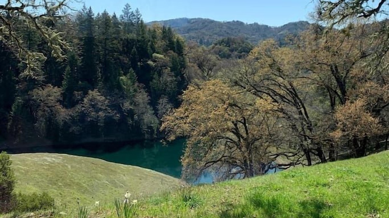 Photo of Others in Ukiah
