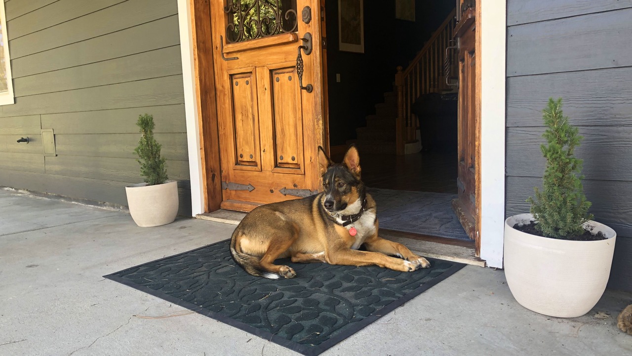 Photo of Others in Alta Sierra