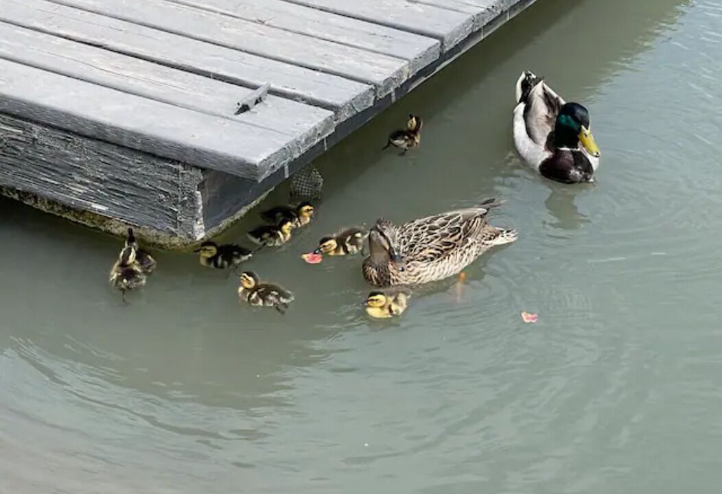 Photo of Others in Corona