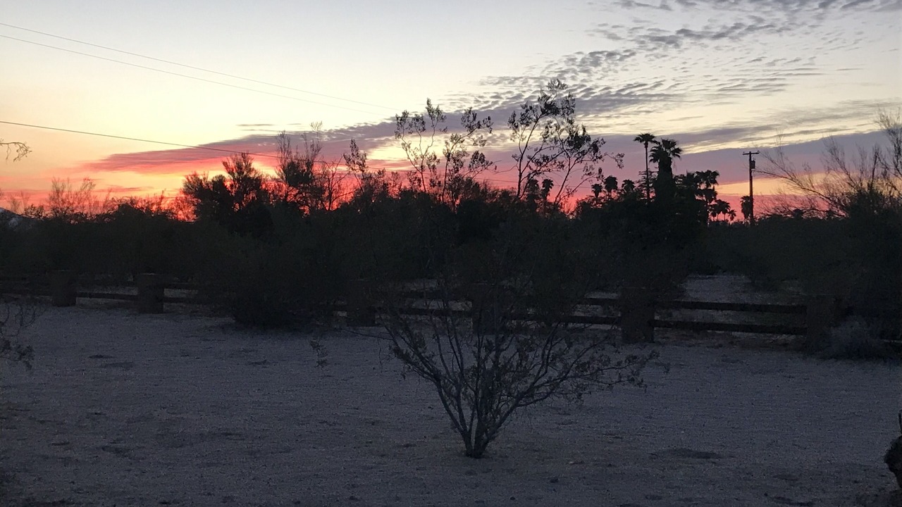 Photo of Others in Borrego Springs