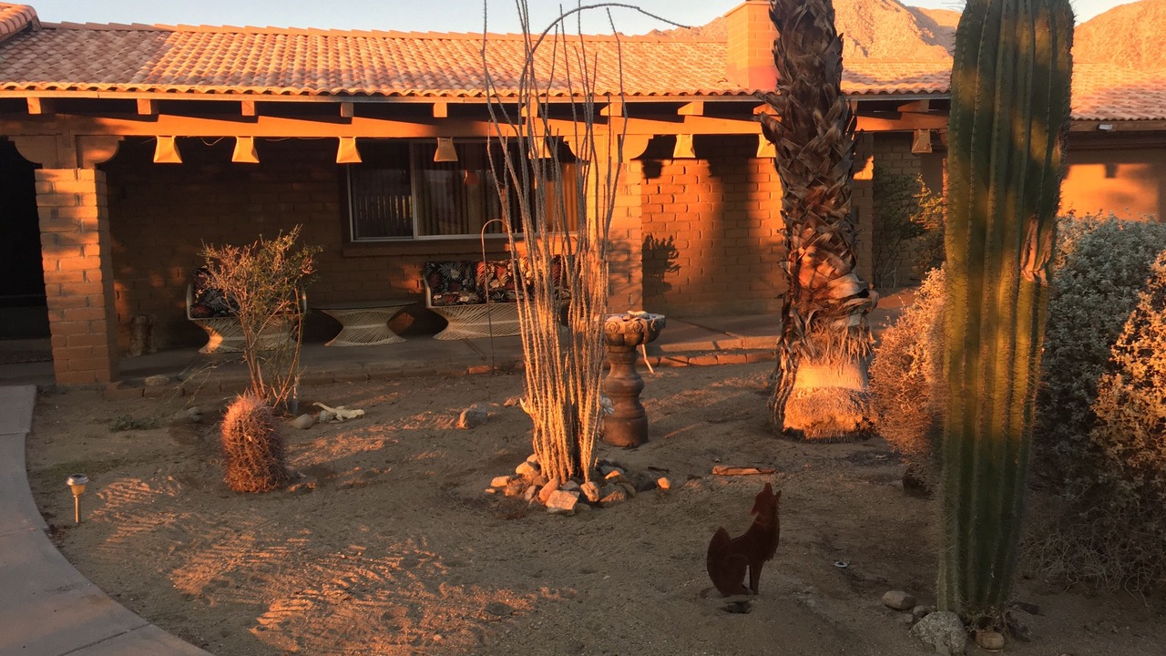 Photo of Outdoor in Borrego Springs