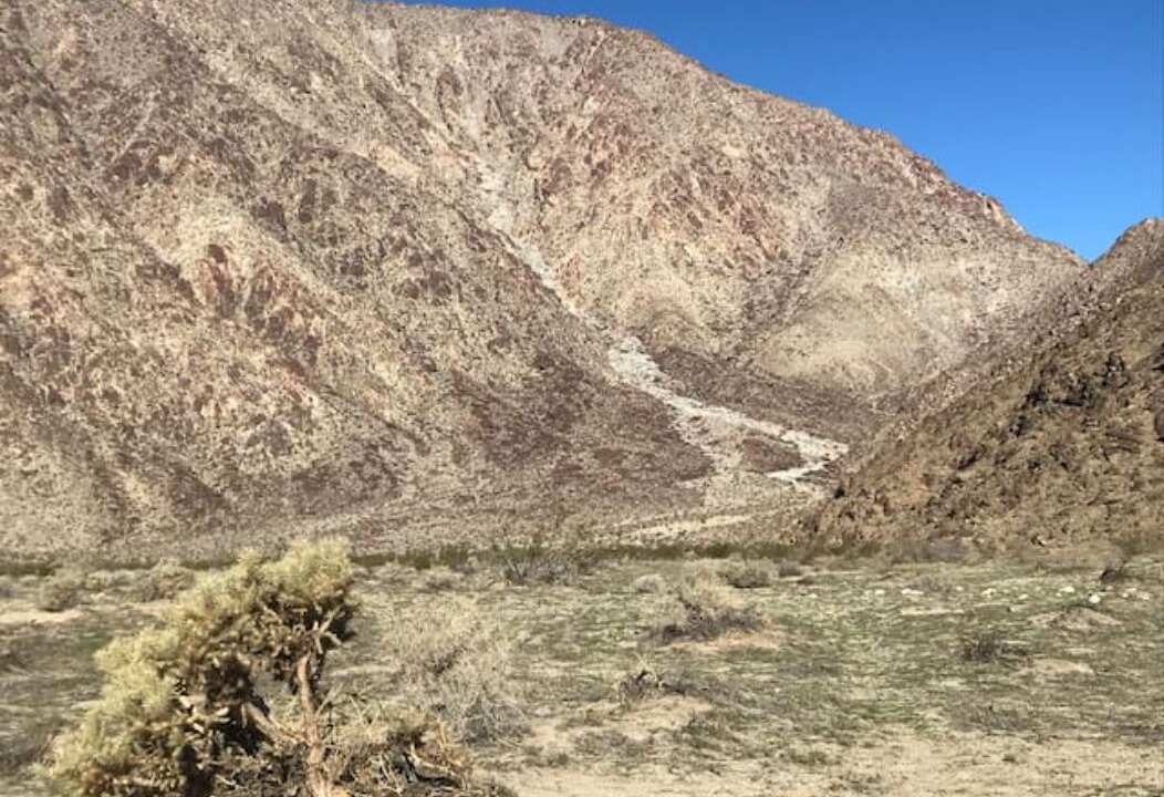 Photo of Others in Borrego Springs