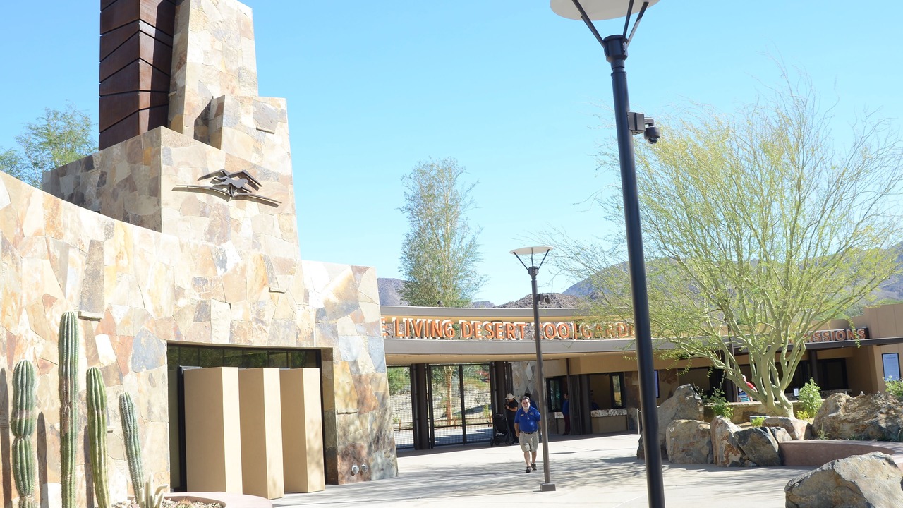 Photo of Outdoor in Palm Desert