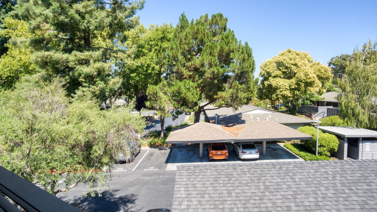 Photo of Outdoor in Mountain View