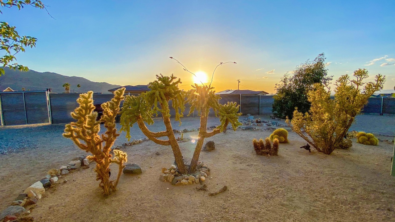 Photo of Outdoor in Twentynine Palms