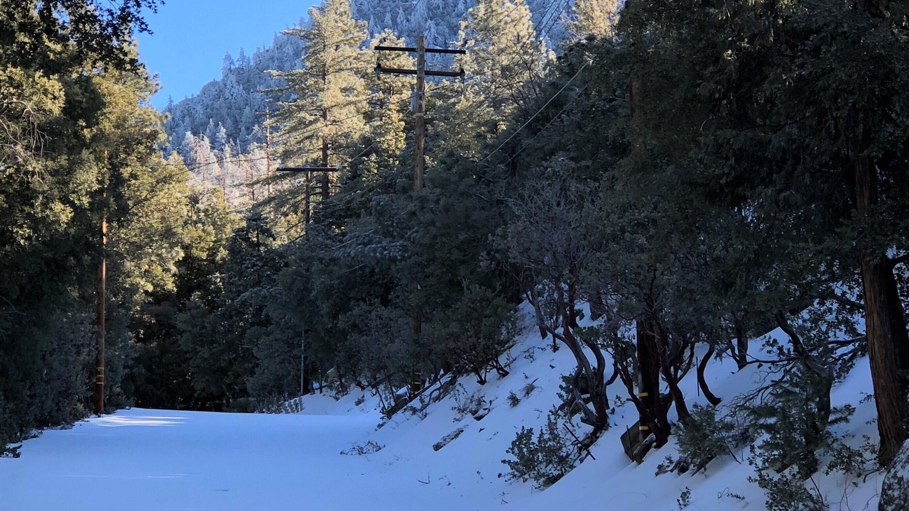 Photo of Others in Idyllwild