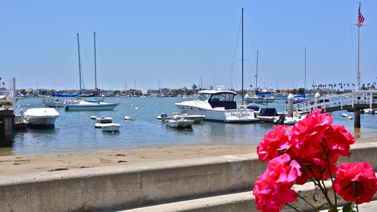 Photo of Others in Balboa Island