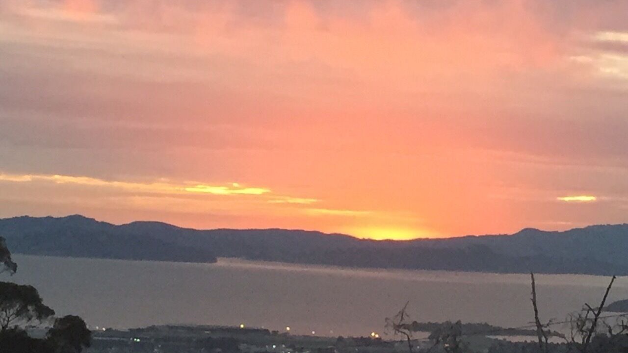Photo of Others in Berkeley Hills