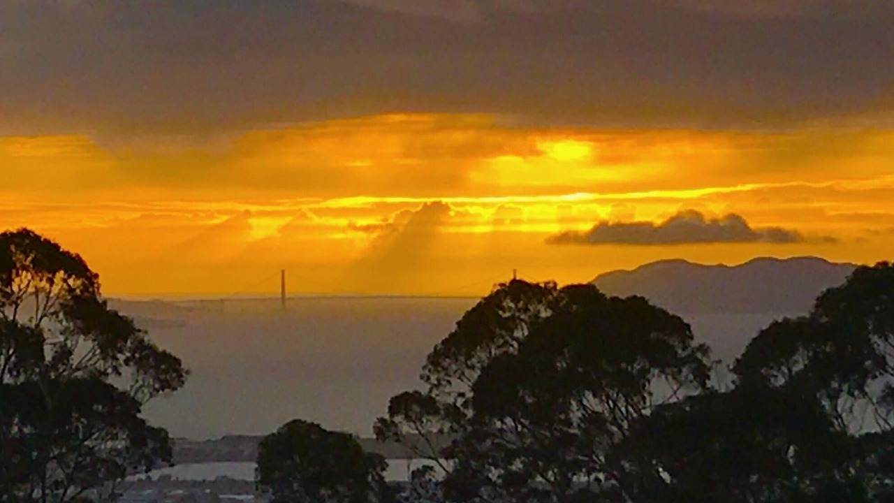 Photo of Others in Berkeley Hills