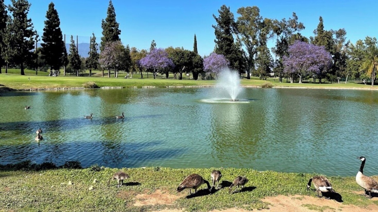 Photo of Others in Alhambra