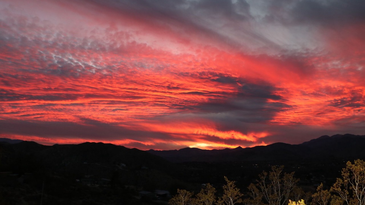 Photo of Others in Morongo Valley