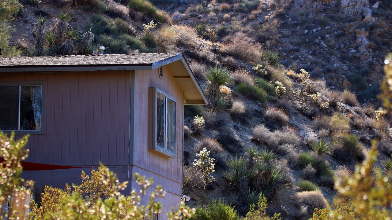 Photo of Outdoor in Morongo Valley