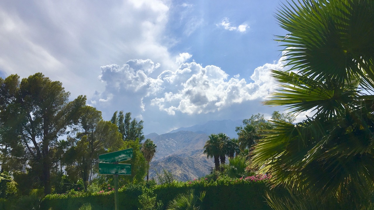 Photo of Outdoor in Racquet Club West