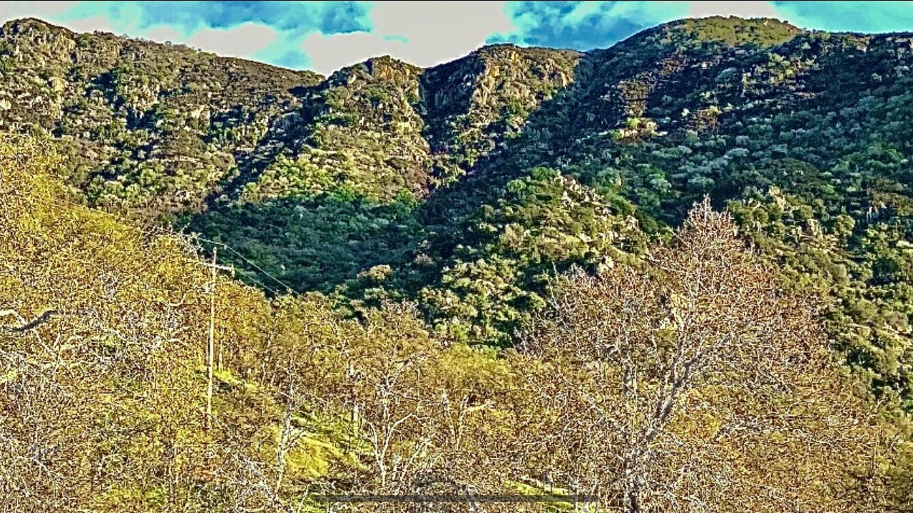 Photo of Others in Three Rivers