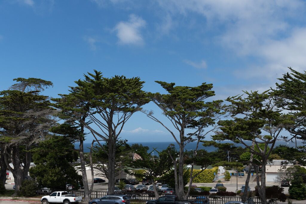 Photo of Others in Monterey