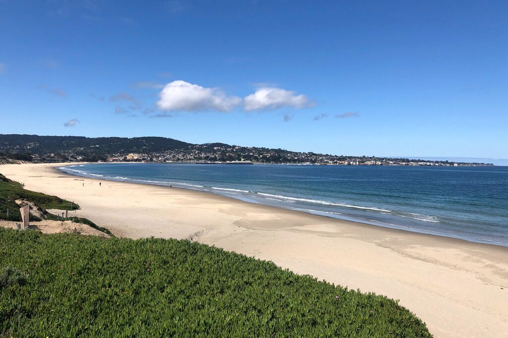 Photo of Others in Monterey