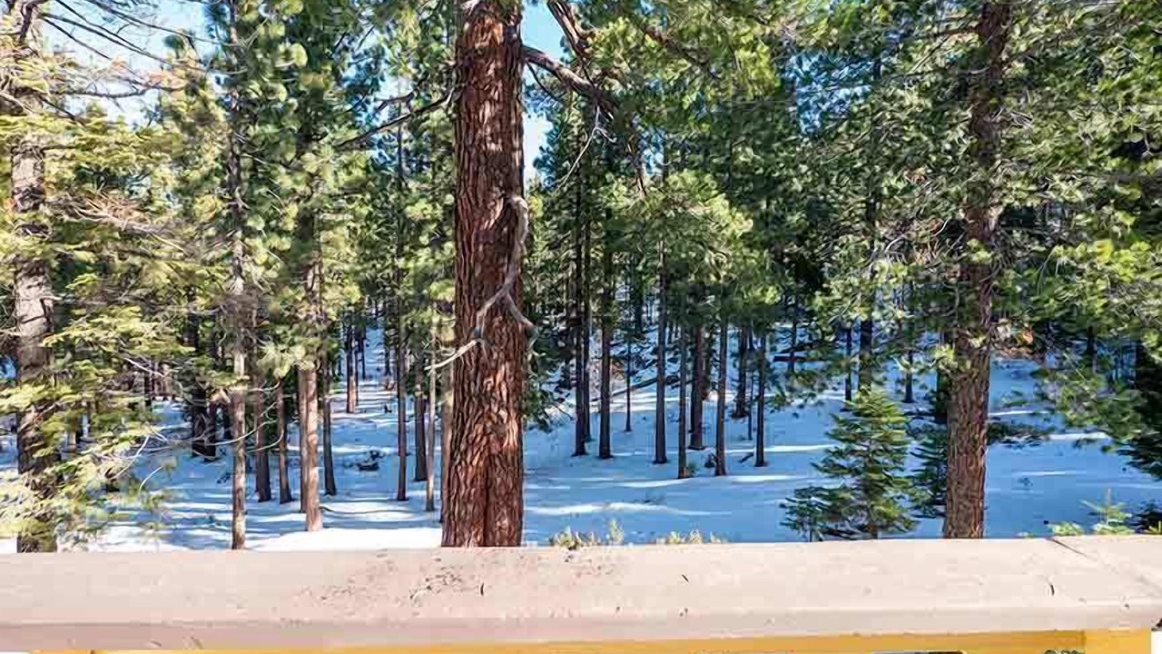 Photo of Others in Tahoe Tyrol
