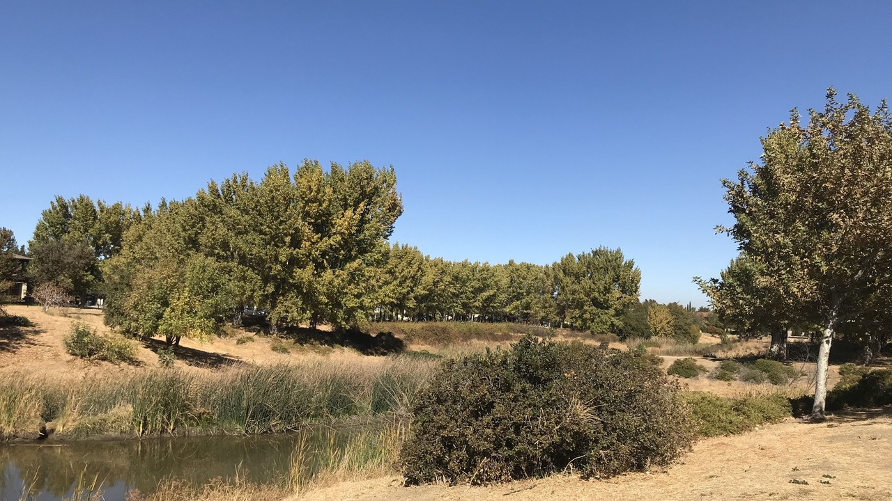 Photo of Others in Tracy
