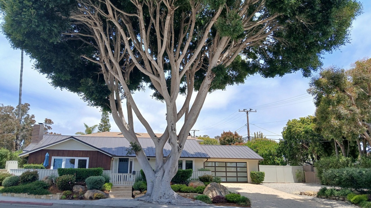 Photo of Outdoor in The Mesa