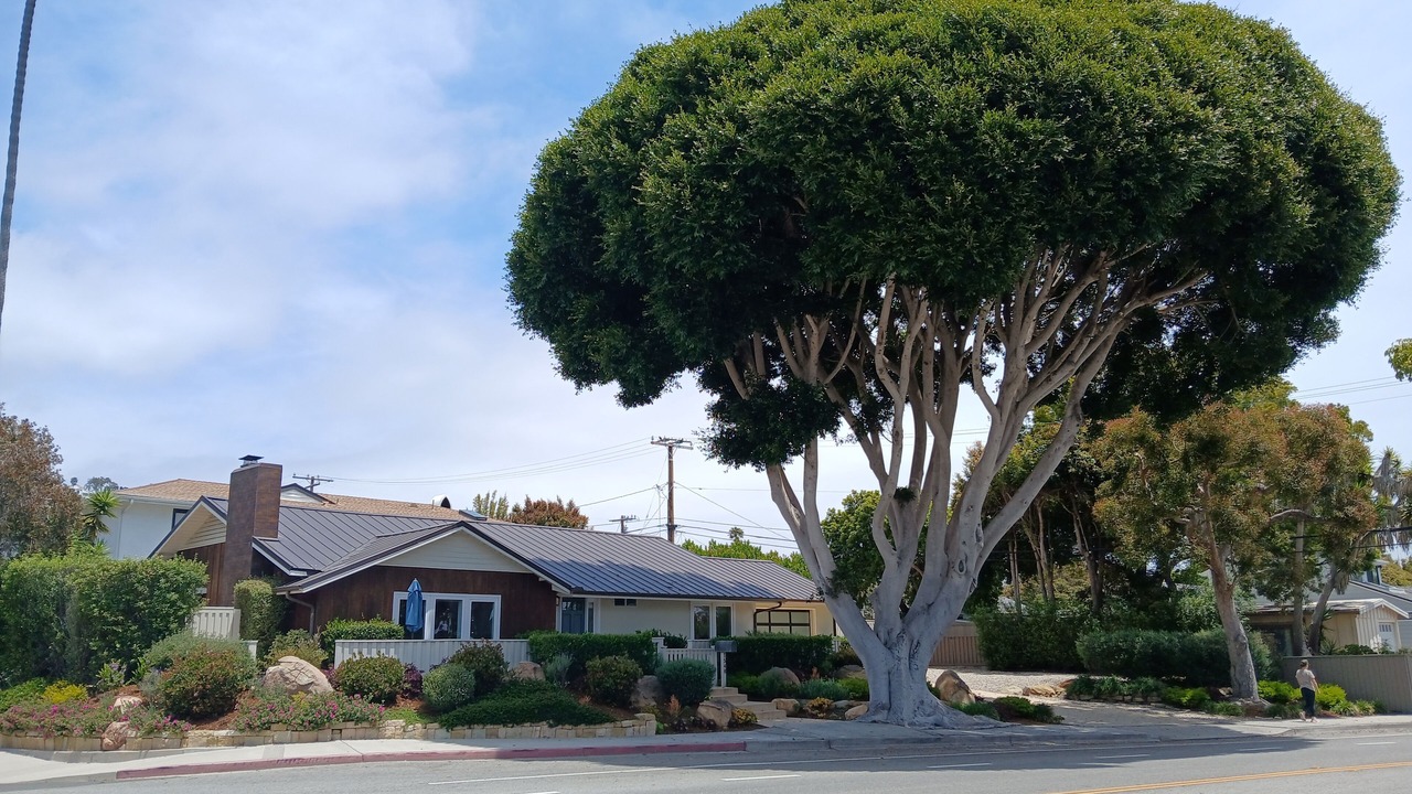 Photo of Outdoor in The Mesa