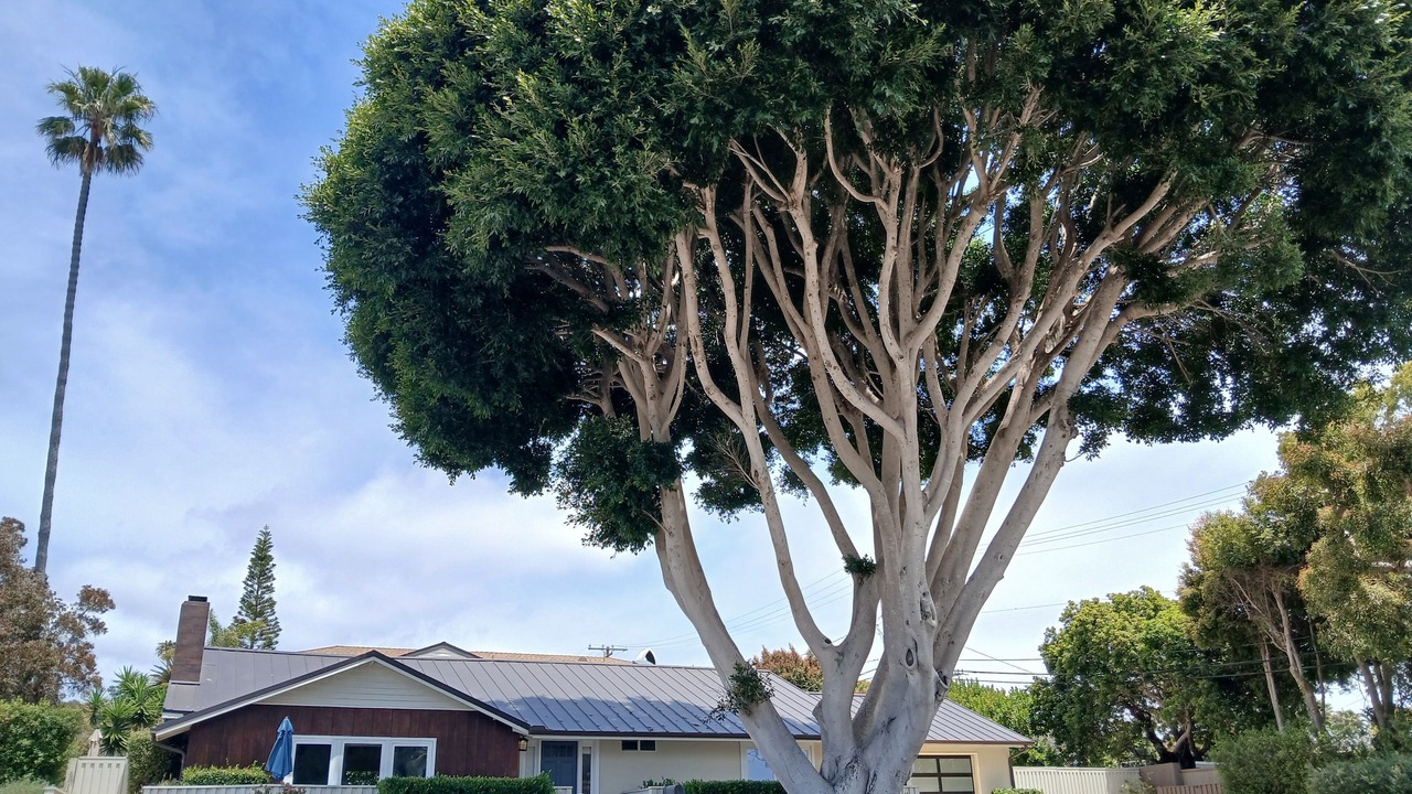 Photo of Outdoor in The Mesa