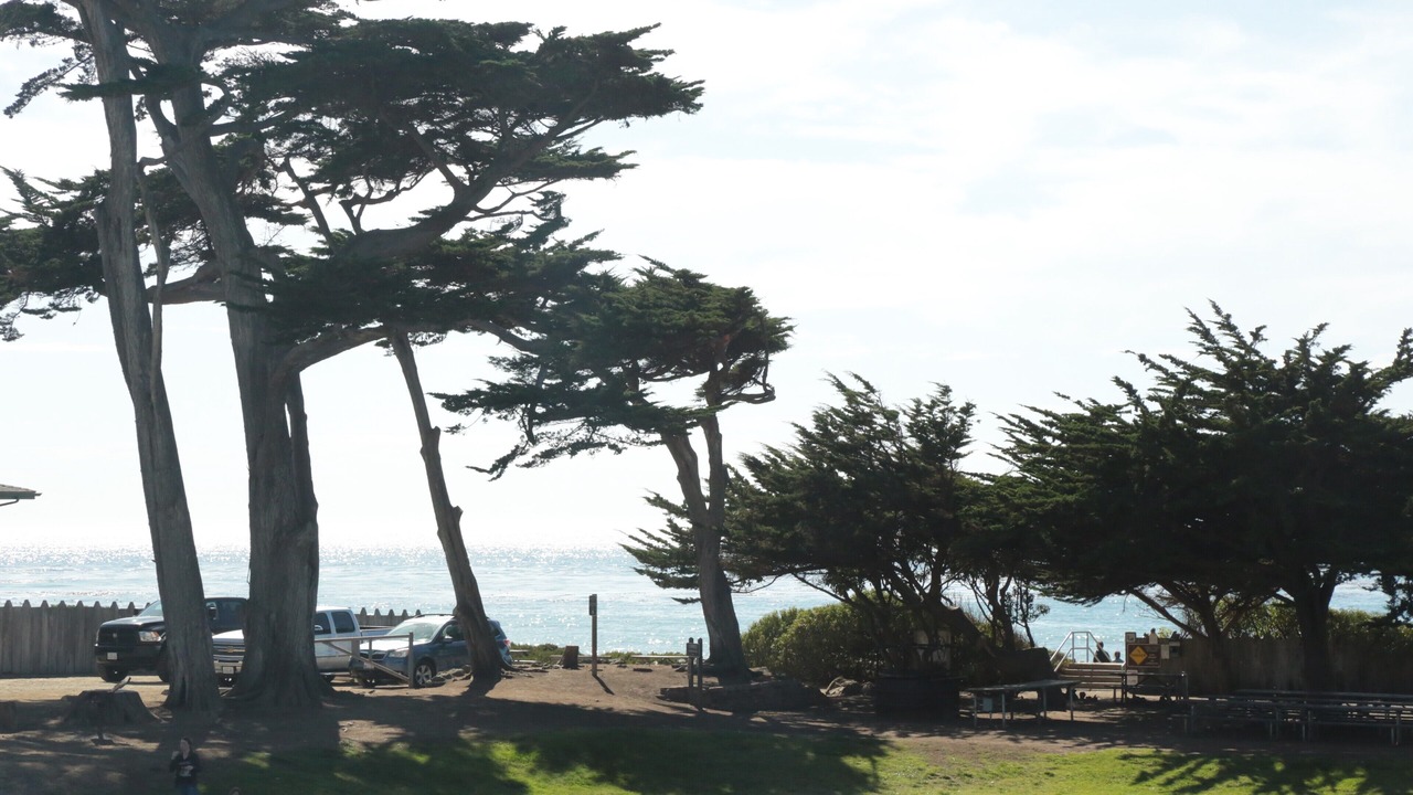 Photo of Outdoor in Park Hill