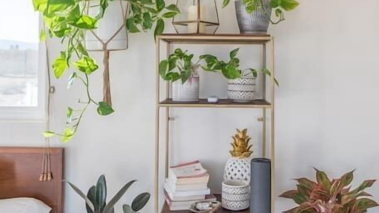 Photo of Bedroom in Wonder Valley