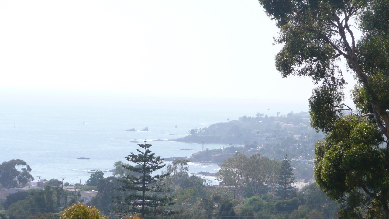 Photo of Others in Laguna Beach