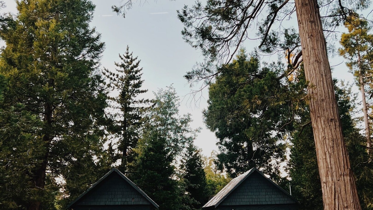 Photo of Others in Twin Peaks