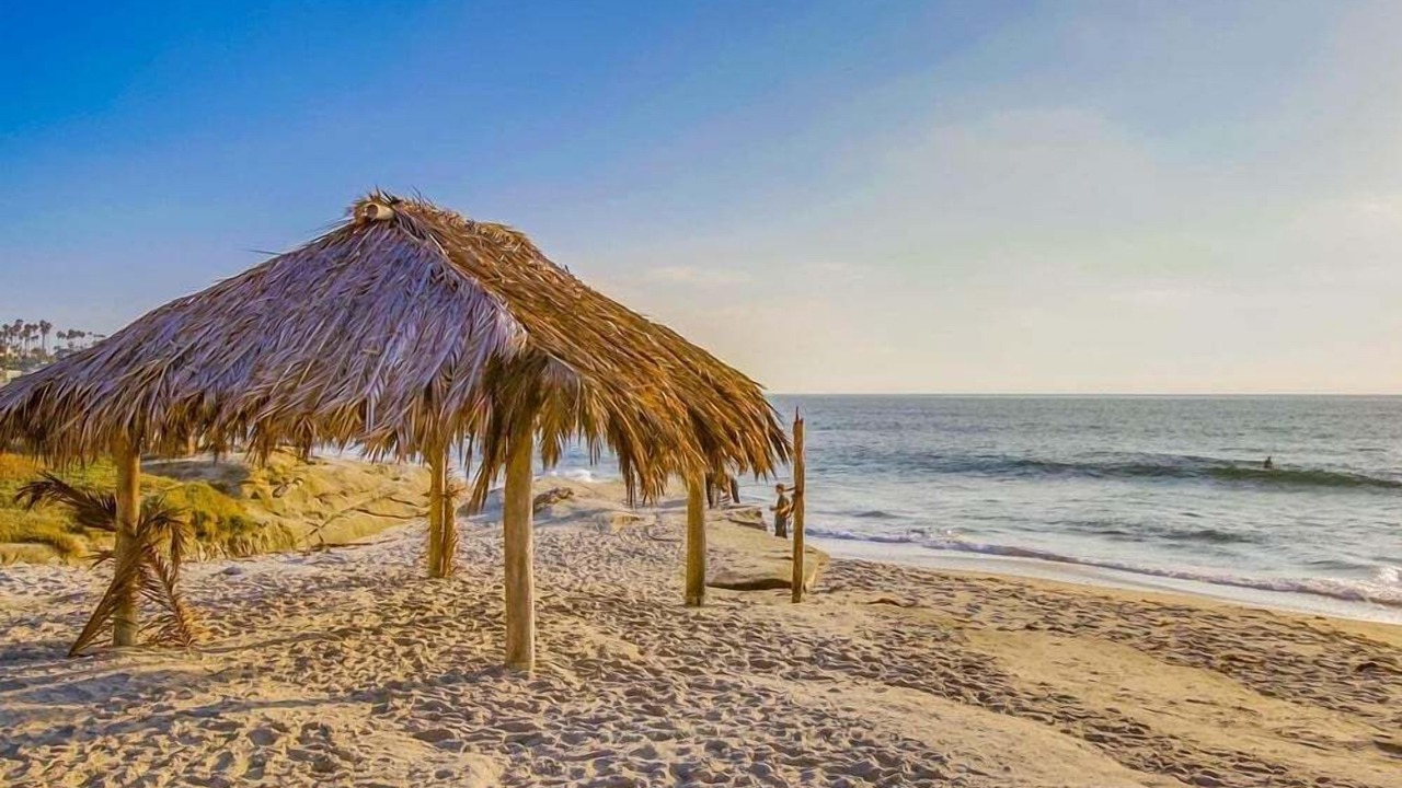 Photo of Others in Beach Barber Tract