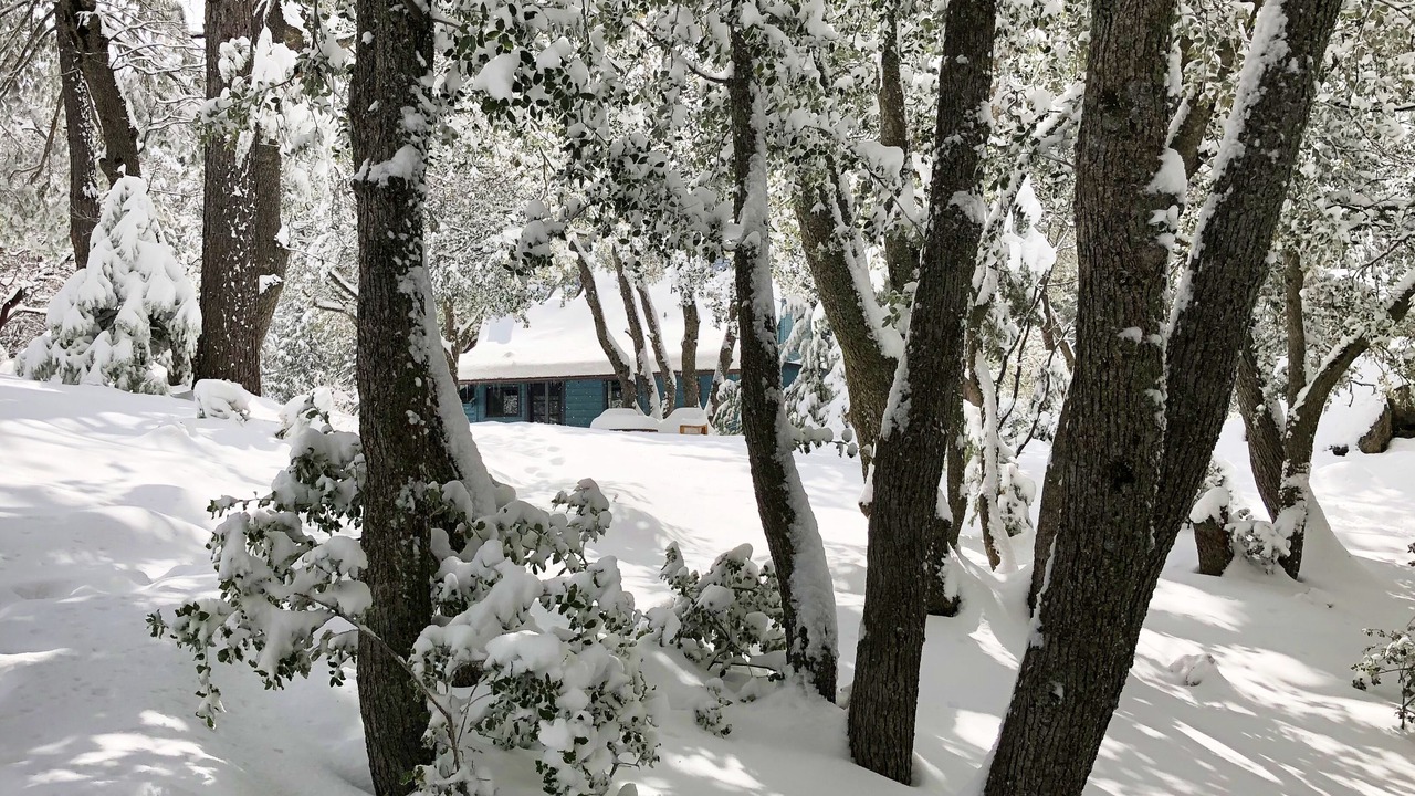 Photo of Others in Pine Cove